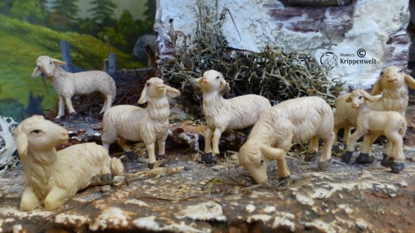 Krippenfiguren aus Polystone - Schafe