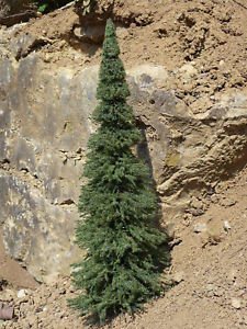 Baum Strauch Busch künstlich Höhe ca 9 12 cm Krippenzubehör,Krippebotanik Nr 