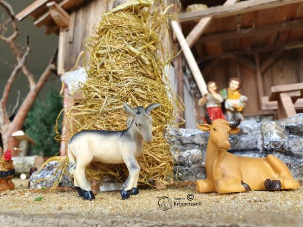 Ochs und Esel als Krippenfiguren für ihre Weihnachtskrippe