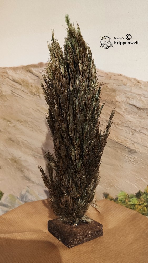 Zypresse aus Naturmaterial für orientalische Krippe 20-23 cm Krippenbotanik.