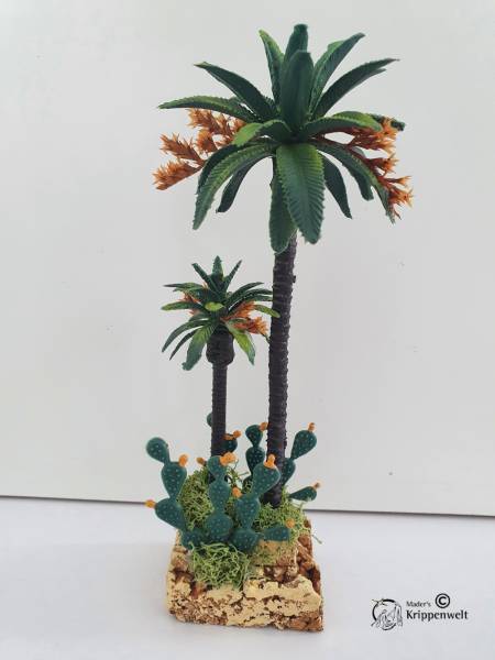 Botanik - Palmengruppe